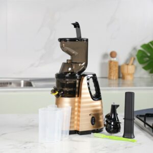 Florence HK-423- Extracteur De Jus 300W 400ML Beige