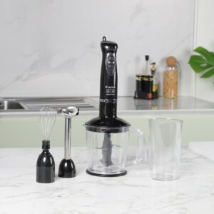 Lexical LHB-1604- Mixeur Plongeant 4en1 600W Noir