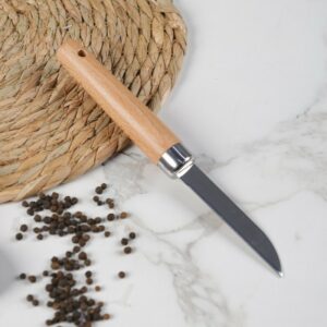 Couteau de Cuisine en Inox avec Manche en Bois