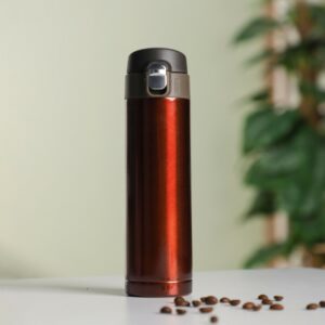 Thermos en Acier Inoxydable 500ML