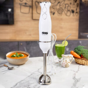 DSP KM1139 - Mixeur Plongeant 500W- Blanc