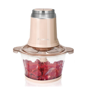 Lexical LCH-1909 - Hachoir Électrique En plastique 300W Beige