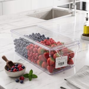Boîte de Rangement Transparente avec Couvercle